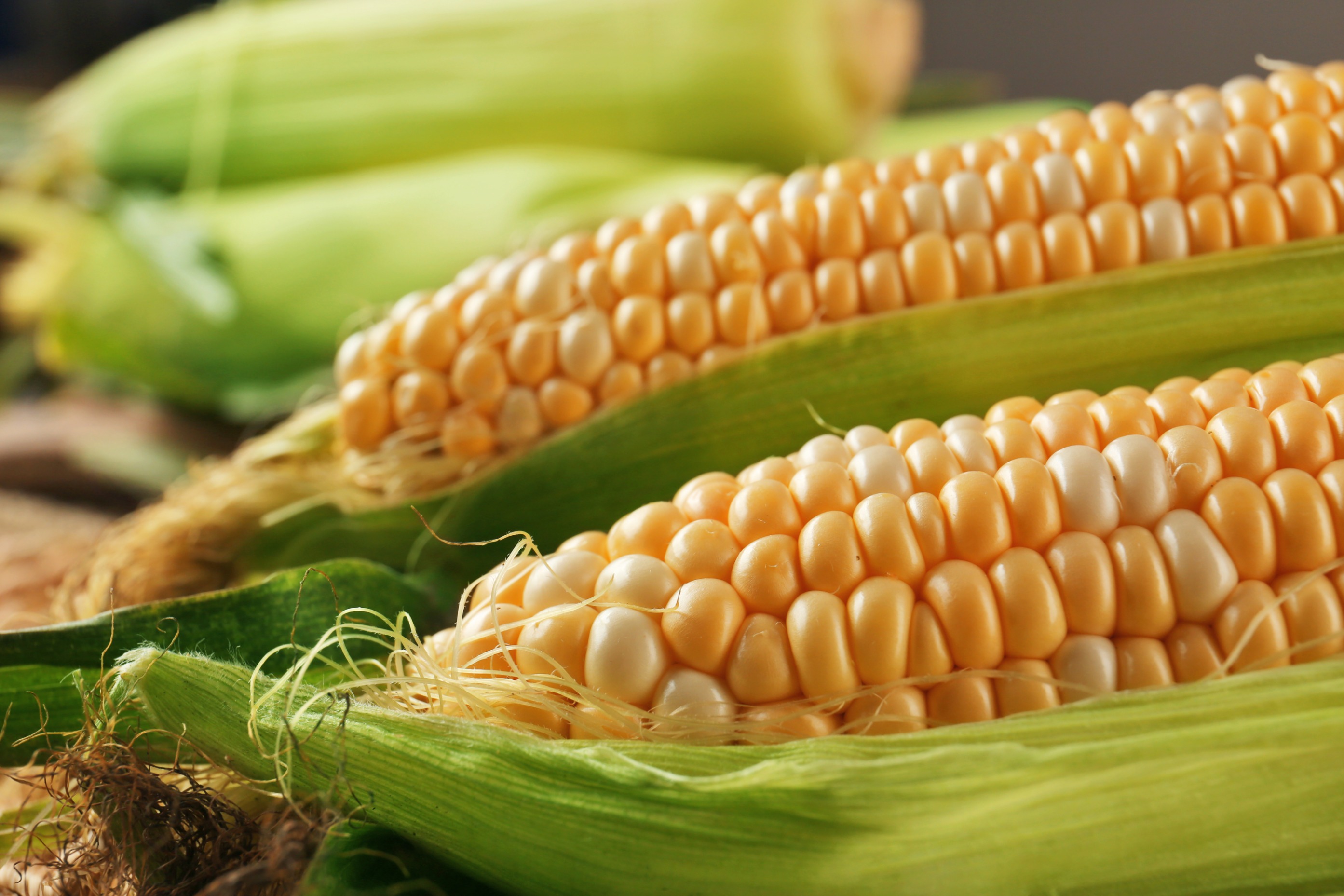野菜